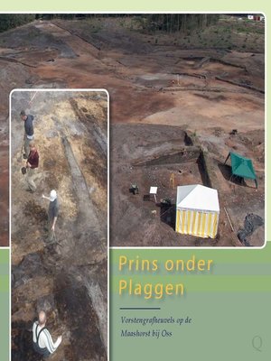 cover image of Prins onder Plaggen